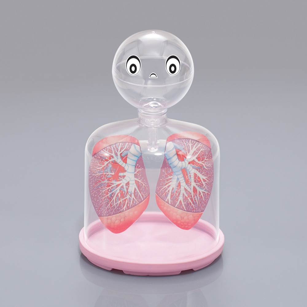 호흡의구조모형 허파실험장치. 폐호흡 과학 온핸드90