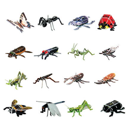 3D퍼즐 교과서 한국의 곤충들 16종 만들기 온핸드33