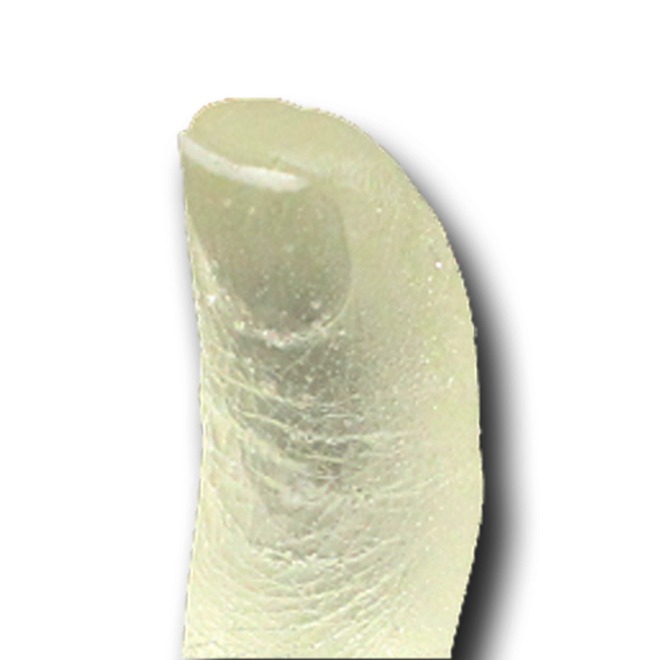 투명 손가락 화석 만들기 12인. 액화수지 온핸드31