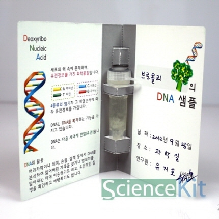 DNA 추출 동물세포 4인. 유전정보 실험 온핸드31