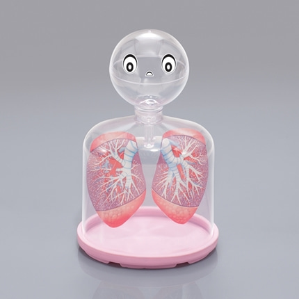 호흡의구조모형 허파실험장치. 폐호흡 과학 온핸드90
