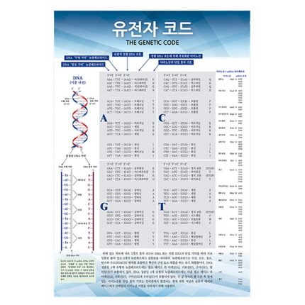 포스터 과학화보액자 유전자 코드 온핸드90