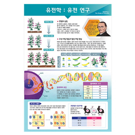 포스터 과학화보액자 유전학 유전 연구 온핸드90